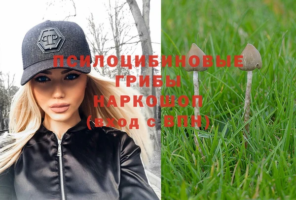 мяу мяу мука Балахна