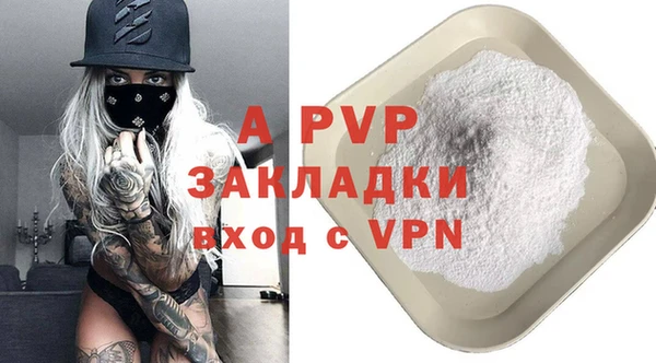 спиды Белокуриха