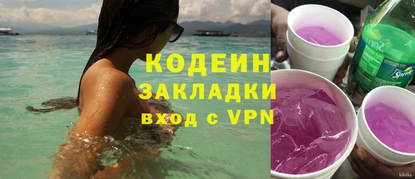 молекула духа Елизово